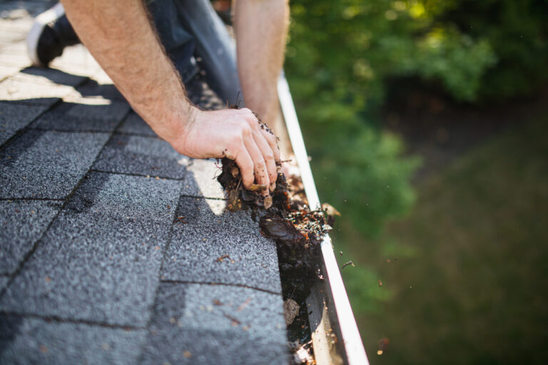 homeowners insurance